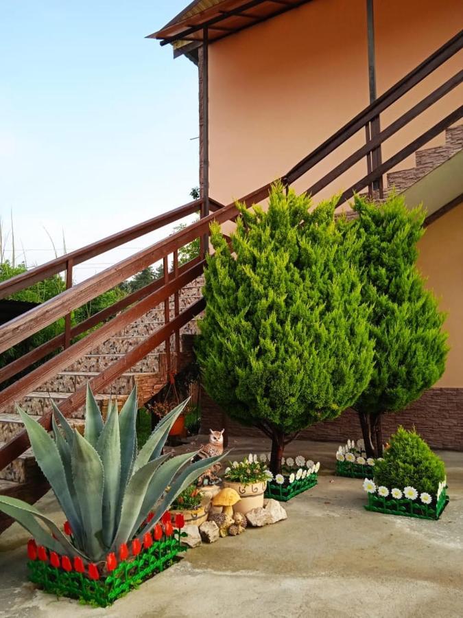 Изабелла Hotel Pizunda Ngoại thất bức ảnh